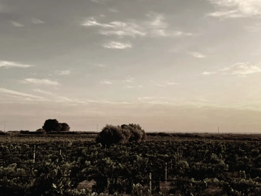 La cantina Gilì a Torretta Granitola (TP)