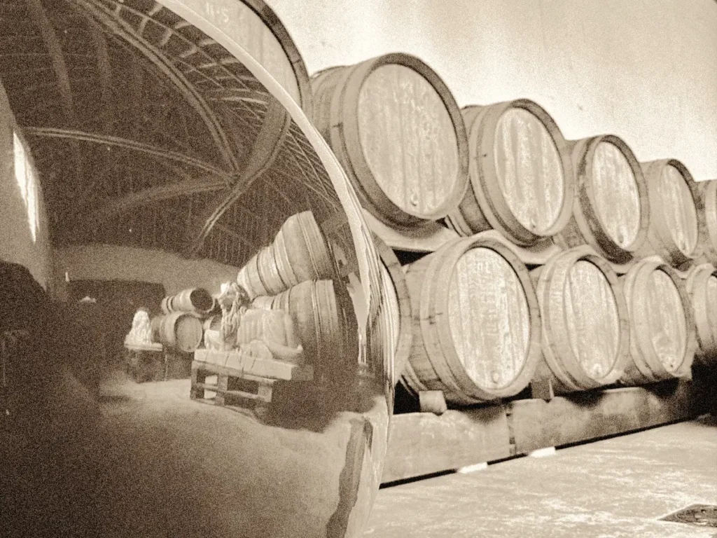 La cantina Novae a Villers sous Châtillon (Champagne)